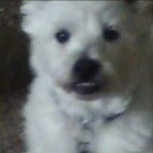 Meet your Posher, Vikki